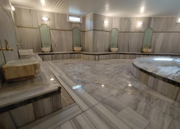 Otel çelik Hanım Termal Otel&spa 3*