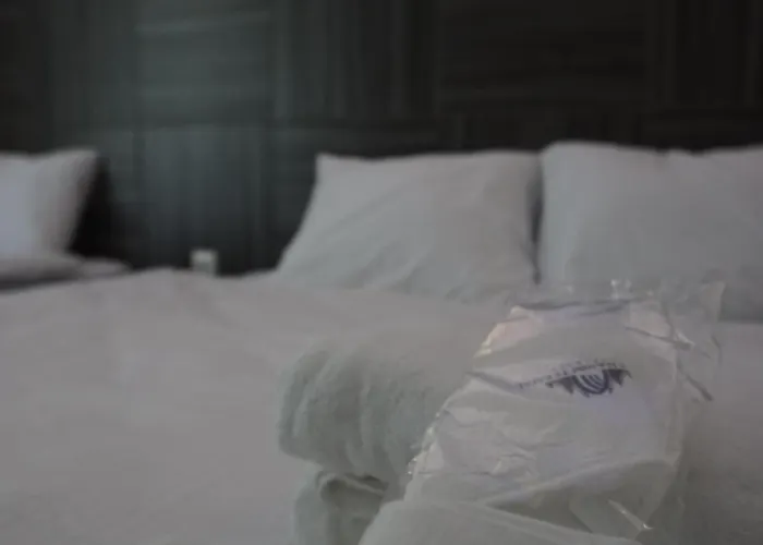 Otel çelik Hanım Termal Otel&spa 3*